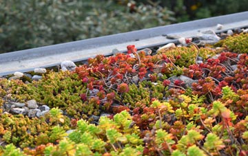 the cost of Ostend green roof installation