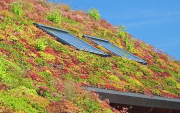 Ostend living roof systems