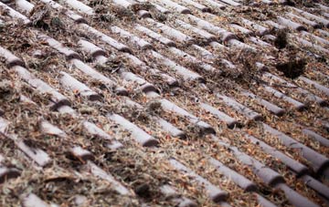 Ostend roof cleaning companies