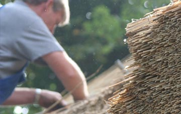 professional Ostend thatchers