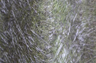 Ostend fibreglass roof work